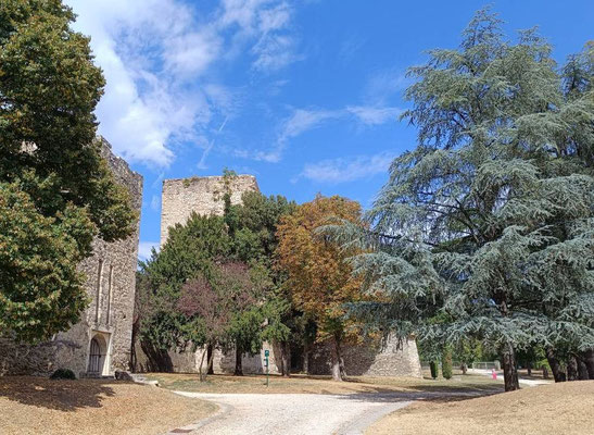 Burg