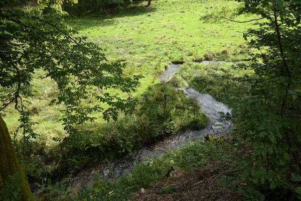 2 km hinter der Quelle