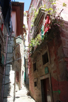 Altstadt 