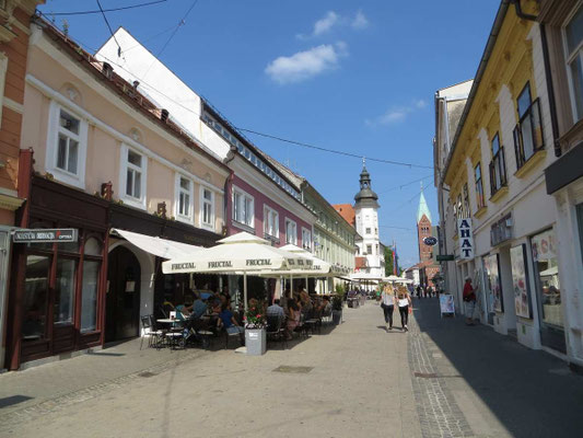 Altstadt - im Hintergrund die Stadtburg