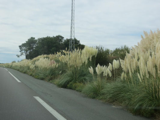 Unterwegs an der Autobahn