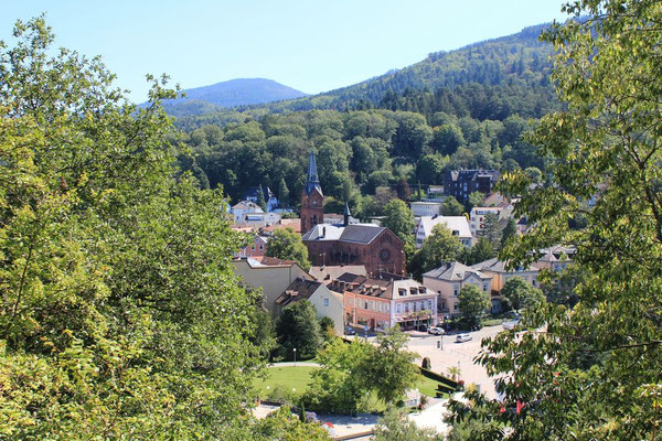 Blick von der Burgruine auf die City