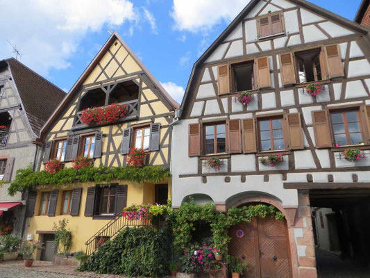 Bergheim