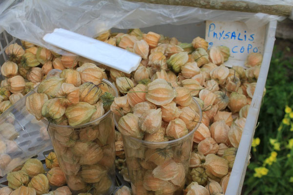 Ein Bauer bietet geschäftstüchtig seine eigene Ernte Physalis an - der Becher kostet nur 2€