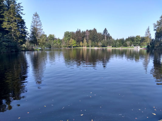 Waldsee
