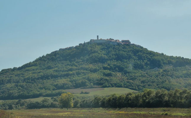 Schon von weitem sieht man Motovun hoch oben liegen