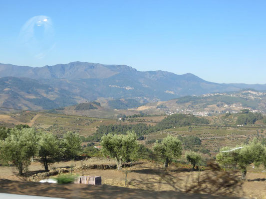 Tolles Panorama auf der Fahrt