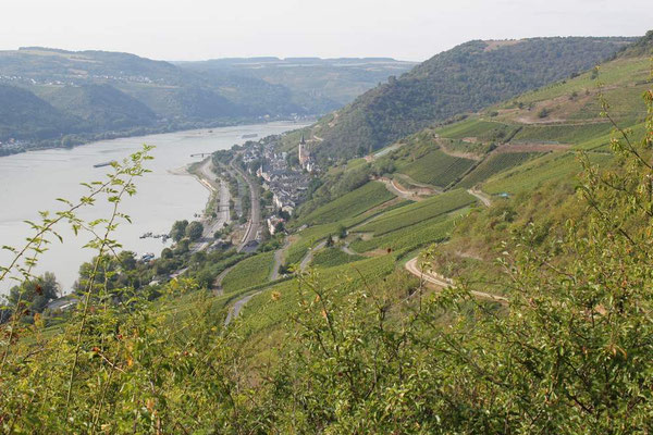 Erster Blick auf Lorch