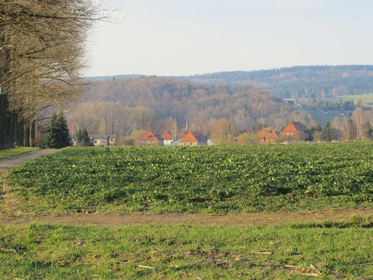 Blick zurück nach Großschönau