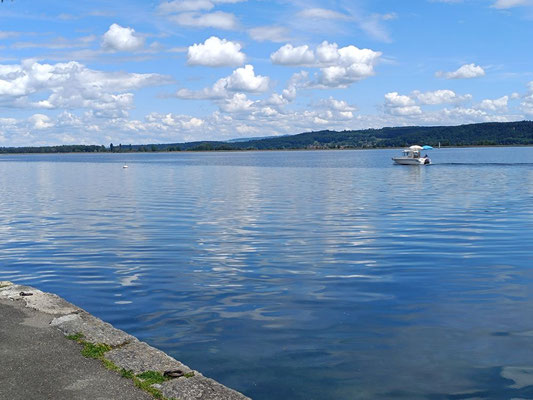 Bieler See