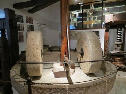 Im Ölmuseum in Cisano