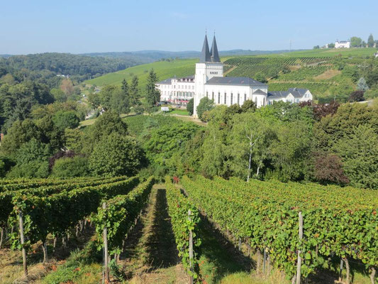 Hotel Kloster Johannisberg inmitten der Weinberge