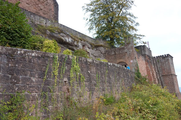 Burg Trifels