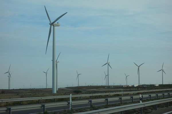 Um Saragosso stehen unzählige Windräder