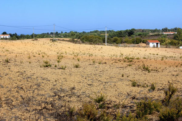 Vereinzelte Höfe - Vertrocknetes Land 