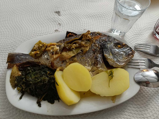 Dorade, sehr lecker 