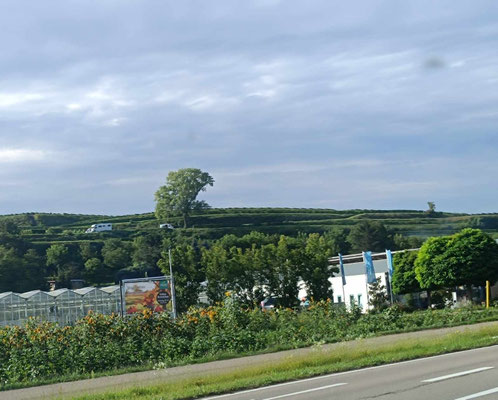Oben links sieht man den Stellplatz 