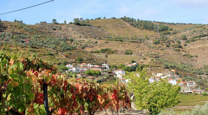 Unser Wanderziel: S. Cristovao do Douro
