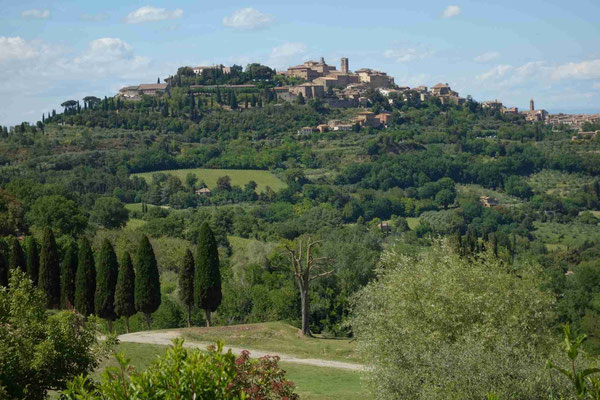 Montepulciano