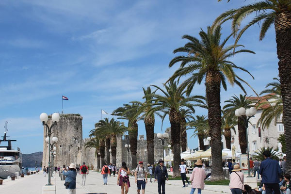 An der Palmenpromenade