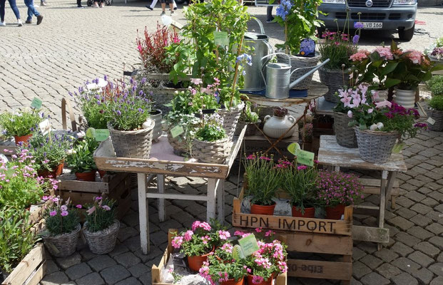 Auf dem Markt