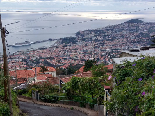 Blick auf Funchal