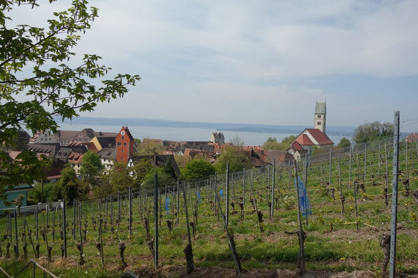Erster Blick auf Meersburg