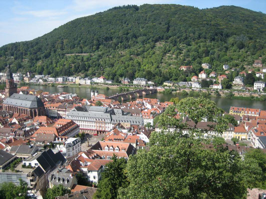 Blick vom Heidelberger Schloss