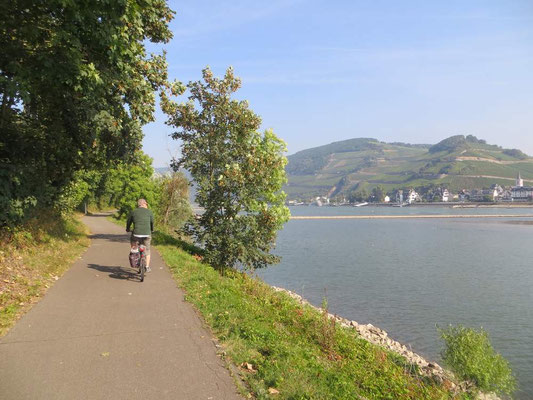 Radweg direkt am Rhein