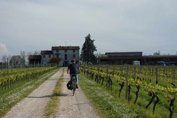 Hier am Weingut dürfen wir übernachten 