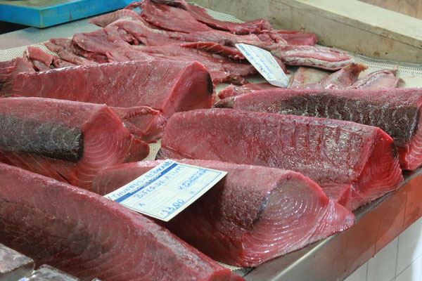 Thunfisch ab 10,90 €/kg