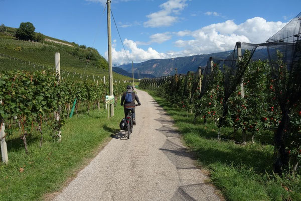 Links Wein - rechts Äpfel