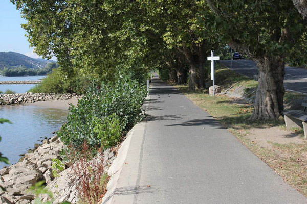 Radweg nach Rüdesheim am Campingplatz