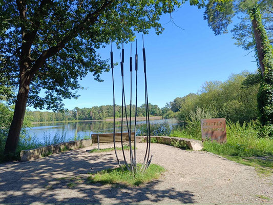 Würmsee