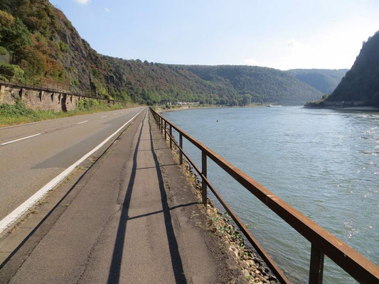 Immer direkt am Rhein geht es weiter
