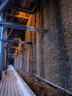 Gradierwerk 