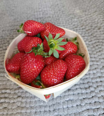 Die ersten Erdbeeren in diesem Jahr - total süß 