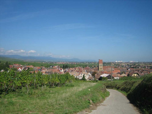 1. Blick auf Eguisheim