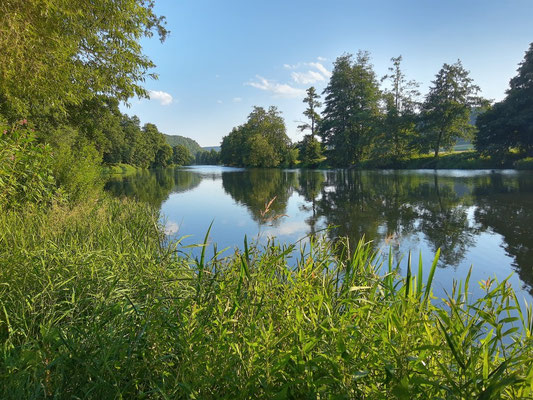 Abendspaziergang an der Naab
