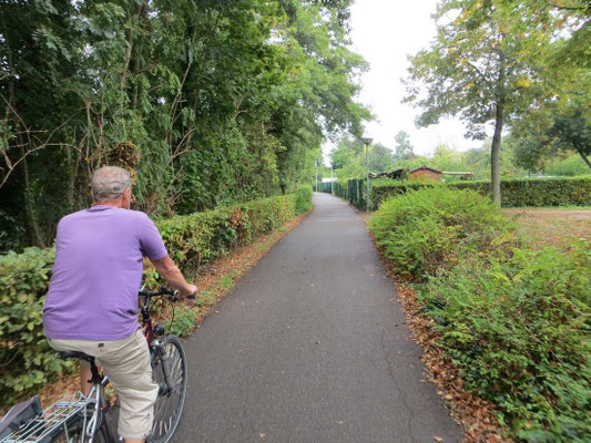 Radweg vom CP in die Altstadt 