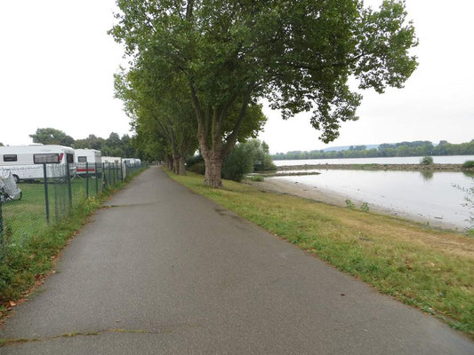 Fuß und Fahrradweg entlang des CP