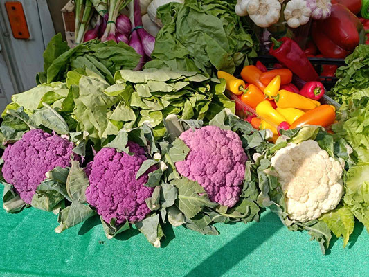Sieht der Blumenkohl nicht interessant aus??