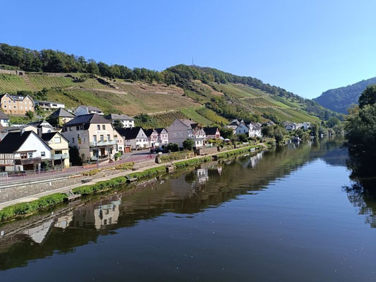 Obernhof mit den Weinbergen 