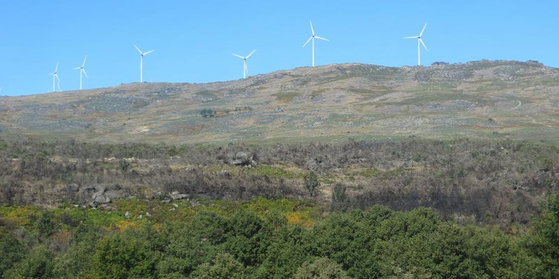 Massenhaft sehen wir Windkrafträder in Portugal
