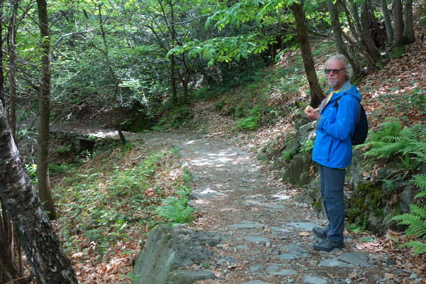 breiter Wanderweg zurück