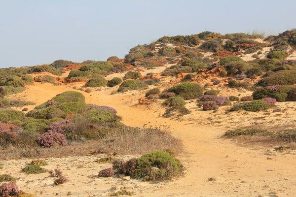 Hier verläuft der Wanderweg Rota Vicentina