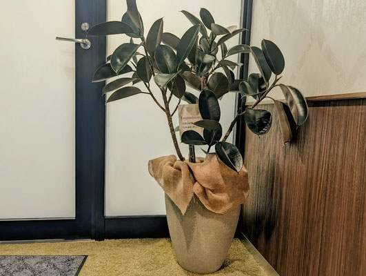 イクメンリフォーム施工によるメンズエステ新店舗のオープンのお祝い花