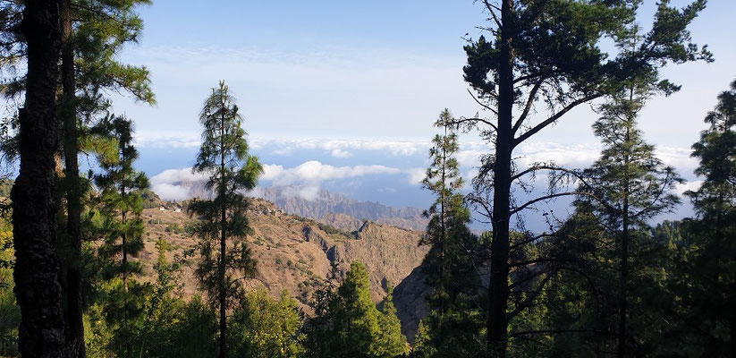 Vers le sommet (1400 m) la végétation est plus importante