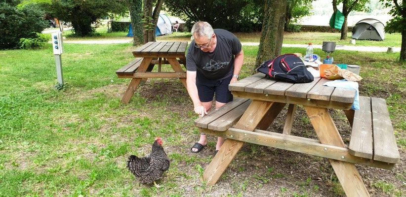 Coin pinic du camping Rochecondrie