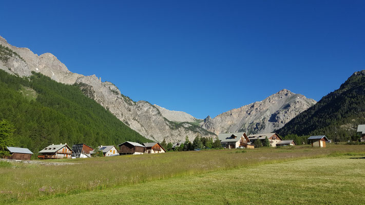 Brunissard